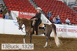 13buck_1329 proof