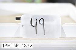 13buck_1332 proof