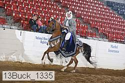 13buck_1335 proof