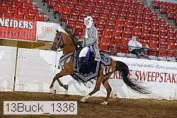 13buck_1336 proof