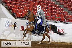 13buck_1340 proof
