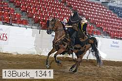 13buck_1341 proof