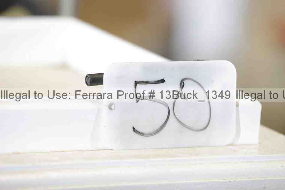 Proof 13buck_1349