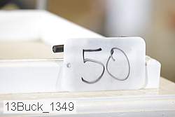 13buck_1349 proof