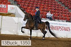 13buck_1350 proof