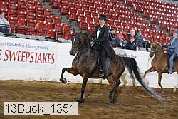 13buck_1351 proof