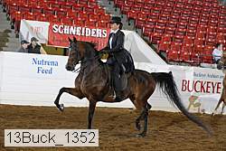 13buck_1352 proof