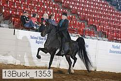 13buck_1353 proof