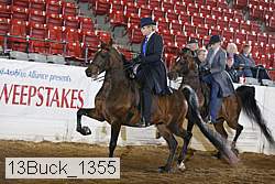 13buck_1355 proof