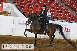 13buck_1358 proof