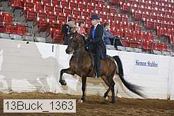13buck_1363 proof