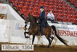 13buck_1364 proof