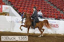 13buck_1365 proof