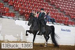 13buck_1366 proof
