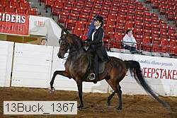 13buck_1367 proof
