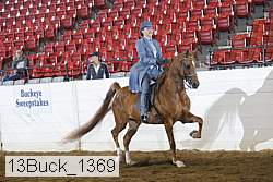 13buck_1369 proof