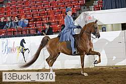 13buck_1370 proof