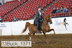 13buck_1371 proof