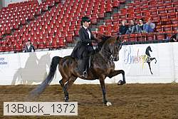 13buck_1372 proof