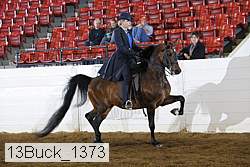 13buck_1373 proof