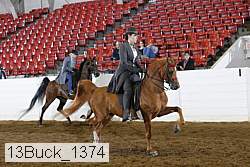 13buck_1374 proof