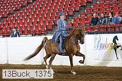 13buck_1375 proof