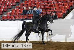 13buck_1376 proof