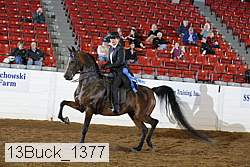 13buck_1377 proof