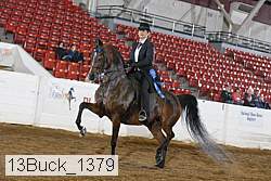 13buck_1379 proof