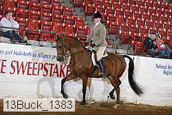 13buck_1383 proof