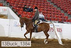13buck_1384 proof