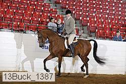 13buck_1387 proof