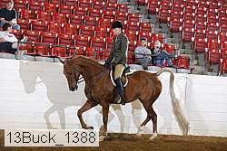 13buck_1388 proof