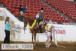 13buck_1389 proof