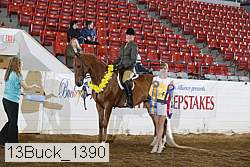 13buck_1390 proof