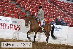 13buck_1392 proof