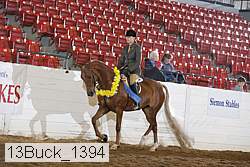 13buck_1394 proof