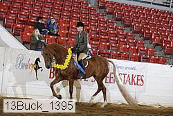 13buck_1395 proof