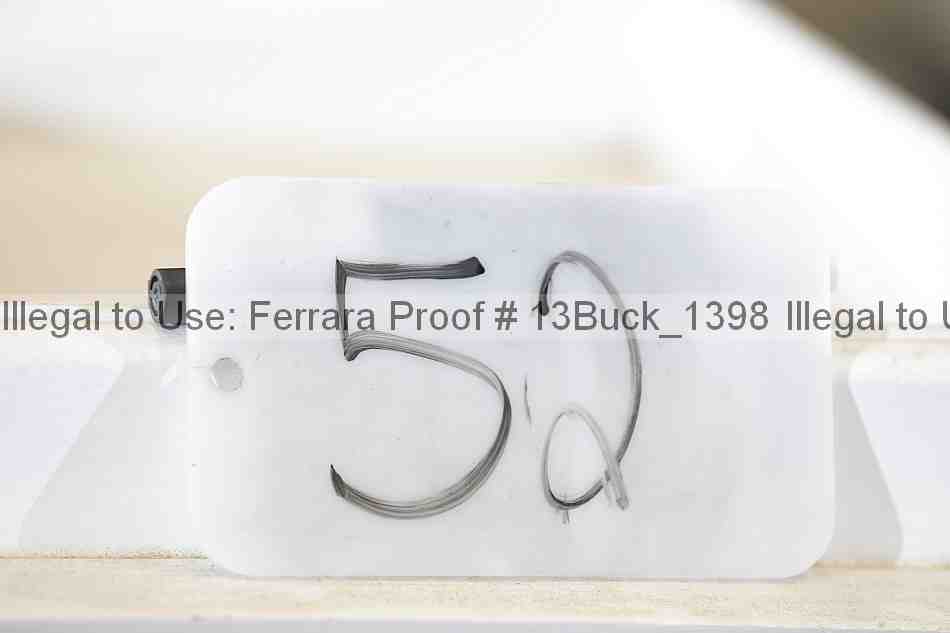 Proof 13buck_1398