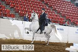 13buck_1399 proof