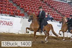 13buck_1400 proof