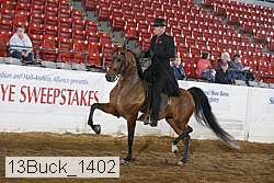 13buck_1402 proof