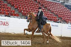 13buck_1404 proof