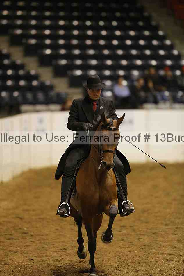 Proof 13buck_1405