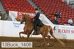 13buck_1406 proof