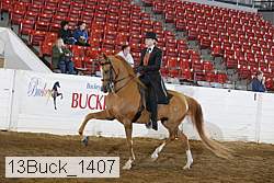 13buck_1407 proof