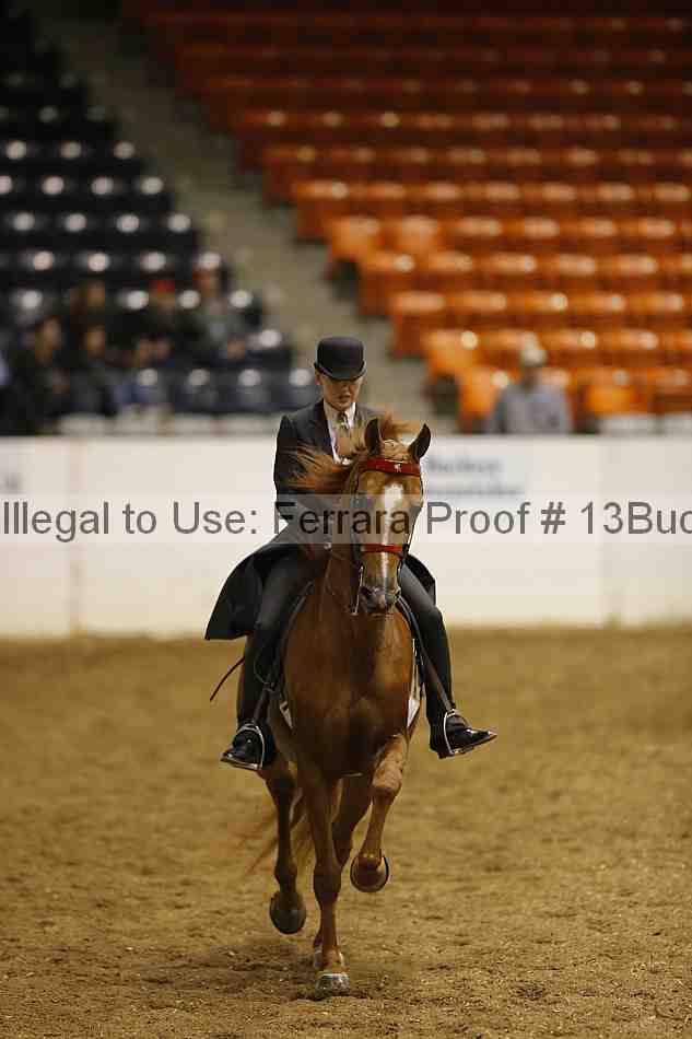 Proof 13buck_1408