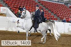 13buck_1409 proof