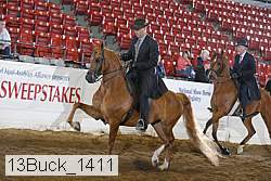 13buck_1411 proof