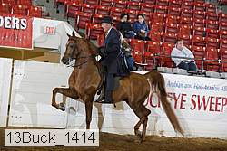 13buck_1414 proof